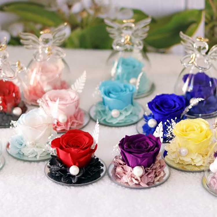 ఏంజెలిక్ ఎటర్నల్ రోజ్