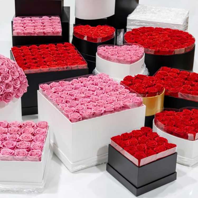 సంరక్షించబడిన ఫ్లవర్ హగ్ బకెట్