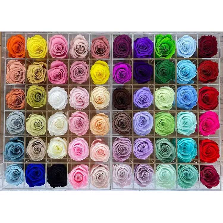 సంరక్షించబడిన గులాబీలు